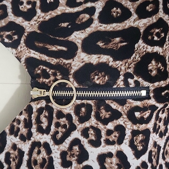 Leopard tank - Picture 2 of 3